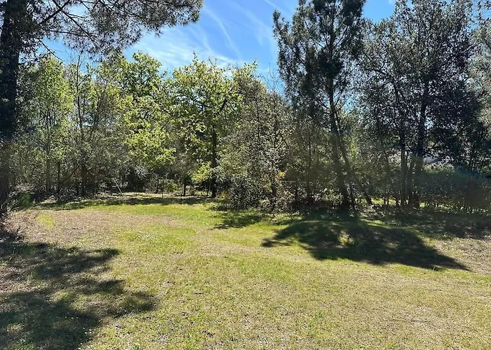 Villa Vaste Au Coeur De La Pinède